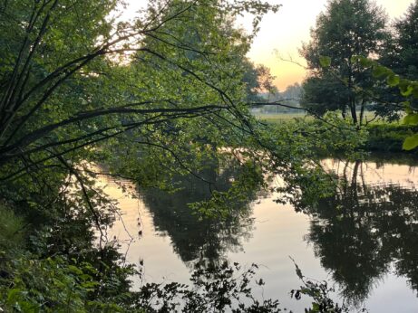 Vítám vás na cestě k emoční rovnováze.