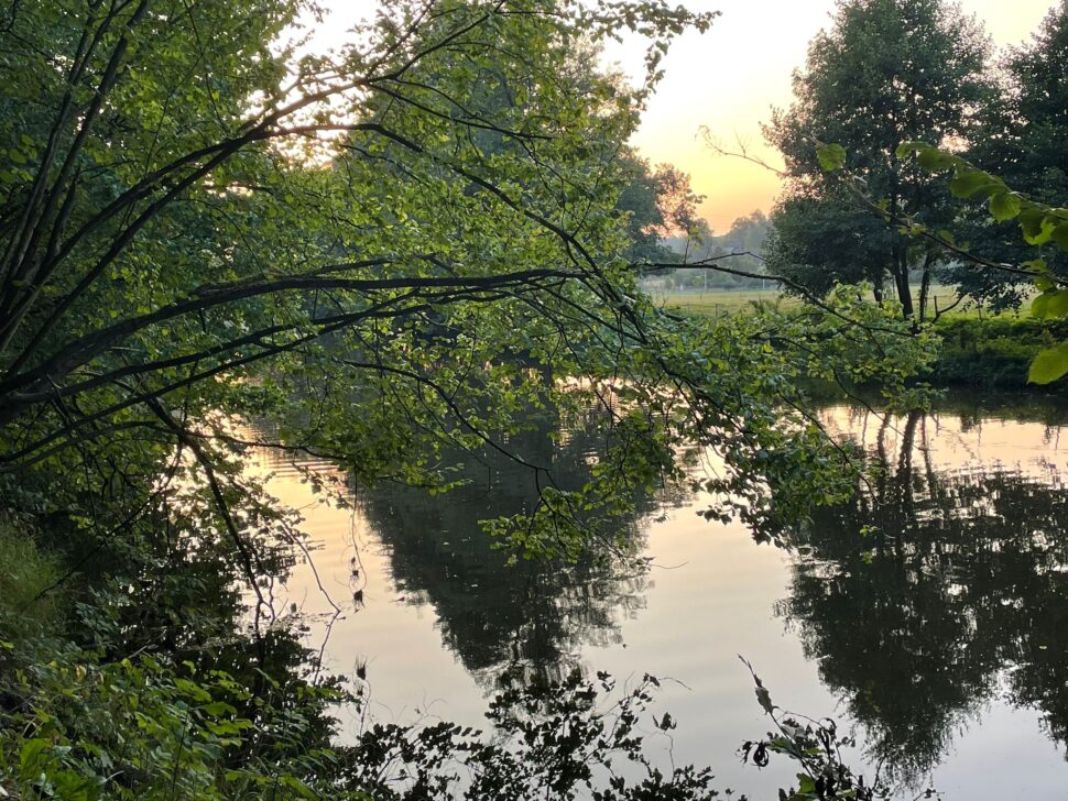 Vítám vás na cestě k emoční rovnováze.